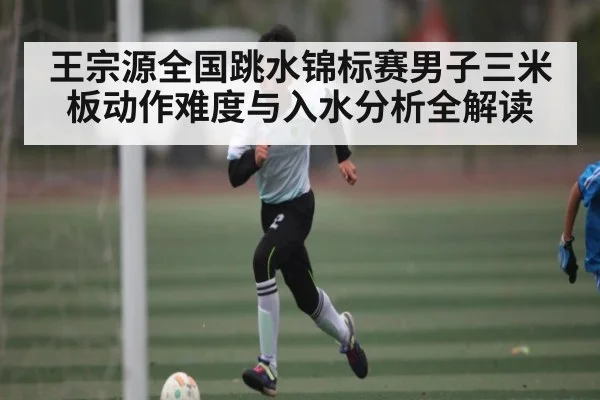 王宗源全国跳水锦标赛男子三米板动作难度与入水分析全解读